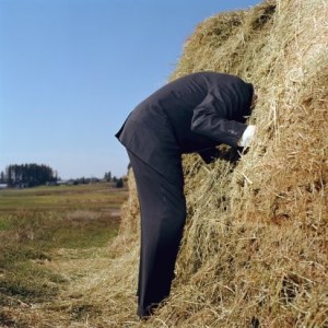 Microsoft Power BI: Finding the Needle in Your Haystack