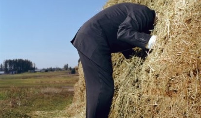 Microsoft Power BI: Finding the Needle in Your Haystack