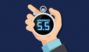 What We Think About WordPress 5.5